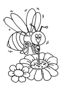 abelha pólen flor
